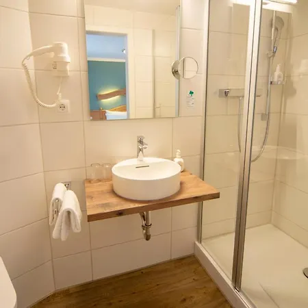 Guest house Landgasthof Hanselewirt 3*