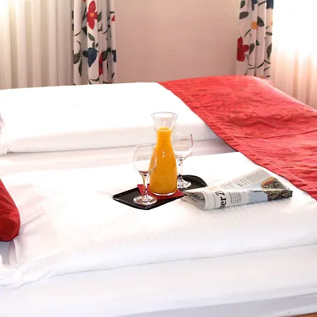 Πανσιόν Landgasthof Hanselewirt 3*